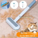 送料無料 抜け毛取りブラシ 抜け毛が簡単に取れる 窓クリーナー 猫 犬 毛取りブラシ 2個セット 抜け毛取りクリーナー 乾湿両用 多機能 ペット抜け毛 丸洗い可能 掃除ブラシ ミニブラシ付き 衣類 寝具 カーペット シート ソファー マルチクリーナーブラシ|詳細画像