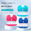 姿勢サポート 椅子 骨盤サポートチェア 骨盤から腰をサポート 腰当て 姿勢補正 クッション 軽量 持ち運び簡単 椅子や床に置いて座るだけ 猫背改善 腰が痛くならない オフィス テレワーク 女性 男性 学生 両親ギフト最適