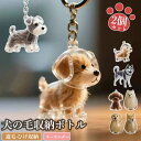 【6%OFFクーポン】2個セット ペット 遺毛 ケース 透明 15タイプ ペット 遺毛入れ 犬の毛収納ボトル ペットメモリアルボトル 犬のキーホルダー 毛を保管...
