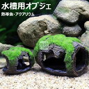 水槽 隠れ家 ウーパールーパー メダカ 魚 エビ隠れ家 苔むしたワイン樽 水槽用流木 水槽 レイアウト アクアリウム ペット用品 ペットグッズ 休憩所 金魚 水...