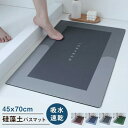 送料無料 珪藻土 ソフト 吸水マット バスマット 足ふきマット トイレマット 浴室/洗面所/キッチン マット 玄関マット 抗菌 防臭 エステ バスマット リバウンドマットパッド入りフットパッドローリバウンドマット カーペット スリップ防止 超吸収性ペダル