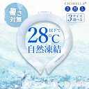 早割り【2024新色追加・PCM含用量71％