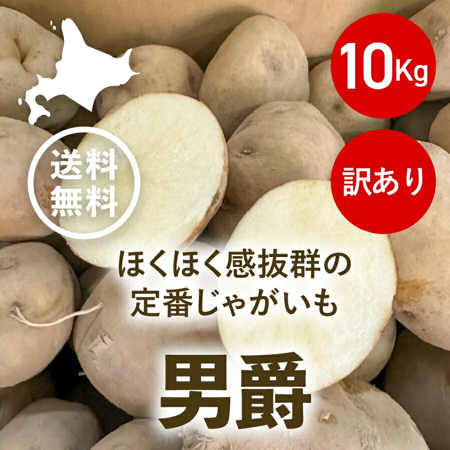 【送料無料(一部地域を除く)】2023年産訳あり北海道じゃがいも男爵（10kg）※説明書きを十分ご覧の上ご..