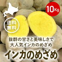 【送料無料(一部地域を除く)】2022年北海道産インカのめざめ（10kg）※しわや芽が目立ちますことをご了承ください