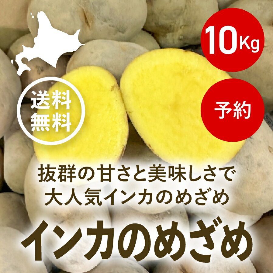 【予約商品】【送料無料(一部地域を除く)】2023年北海道産インカのめざめ（10kg）