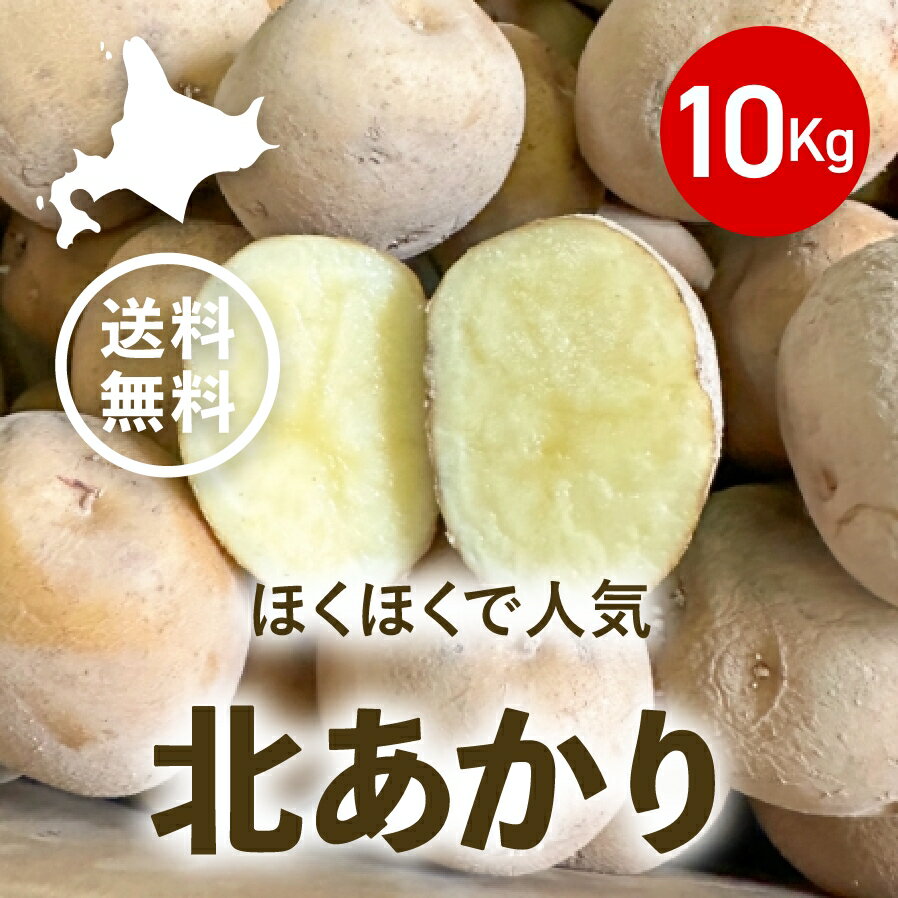 【送料無料(一部地域を除く)】2023年産北海道じゃがいも北あかり（10kg）※説明書きを十分ご覧の上ご注..