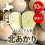 【送料無料(一部地域を除く)】2023年産訳あり北海道じゃがいも北あかり（10kg）※説明書きを十分ご覧の上ご注文ください