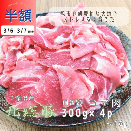楽天 最安値に挑戦中 国産 豚コマ 1.5kg お肉 メガ盛り 300gずつ 小分け 肉屋 ブタコマ こま 送料無料 仕送り お返し プレゼント 実用的 食べ物 訳なし ギフト おかず 炒め物 ビール お酒 おつまみ 送料 無料 便利 自宅用 国産 千葉 ブランド おうち 調理 賞味期限 冷凍 90日のサムネイル