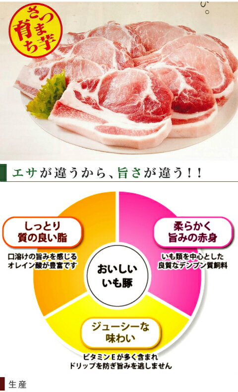 千葉県ブランドいも豚お試しギフト【粗挽きソーセージ】ウインナーチーズチョリソー【7日間熟成】ロースハムベーコン5点セット自社ハム工房製造ポイント消化大特価銘柄豚ウィンナー軽いブナスモークギフト【送料無料※北海道、沖縄へお届け+500円】