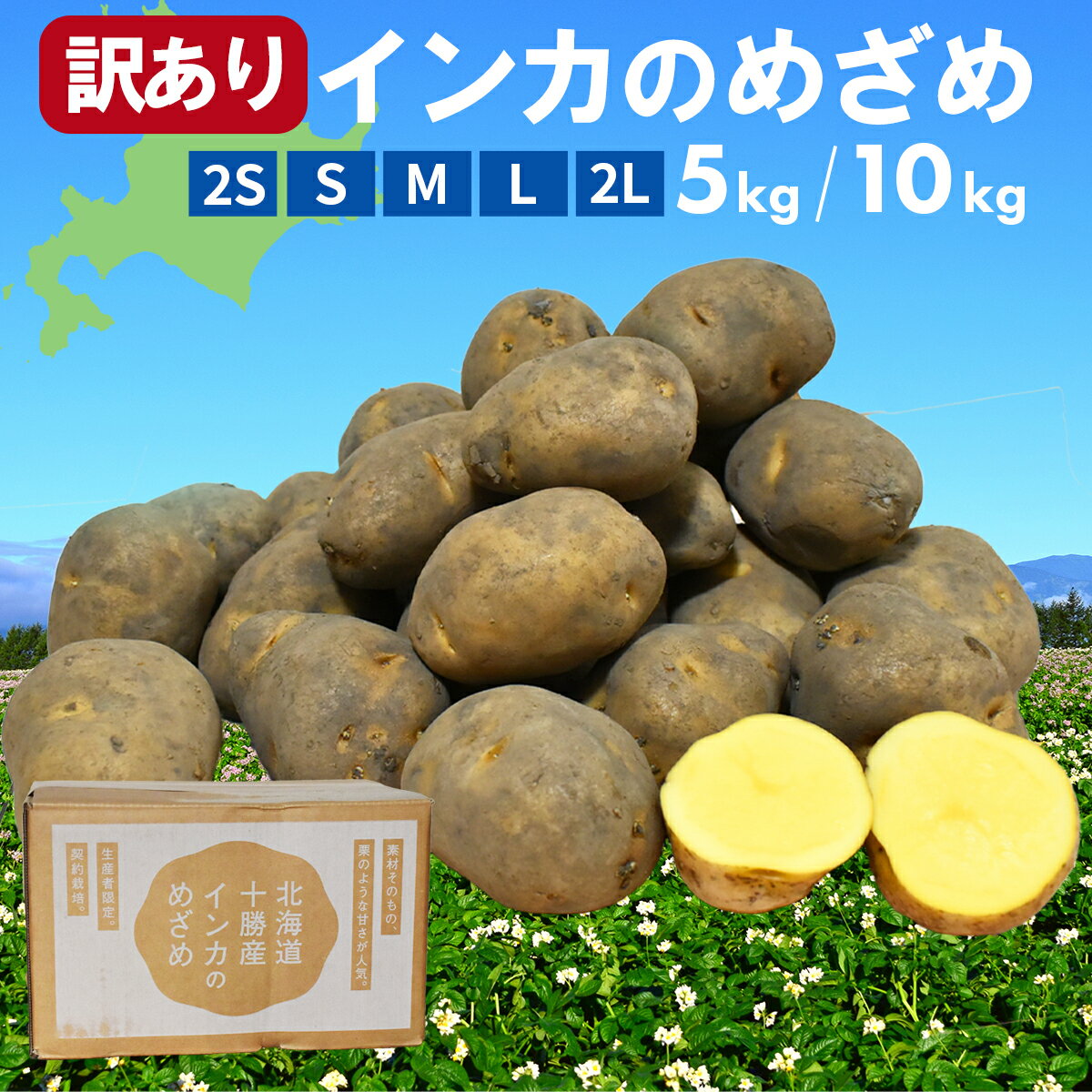 新じゃが予約中【【厳選じゃがいもLMサイズ20kg（メークイン）】送料無料（沖縄除く）プレゼント付・お試し価格・【岩手県二戸市産・数量限定】関口農園のこだわりじゃがいも（メークイン）・LサイズMサイズ混合【RCP】