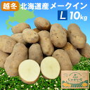 訳あり★越冬品★北海道産メークイン Lサイズ 10kg