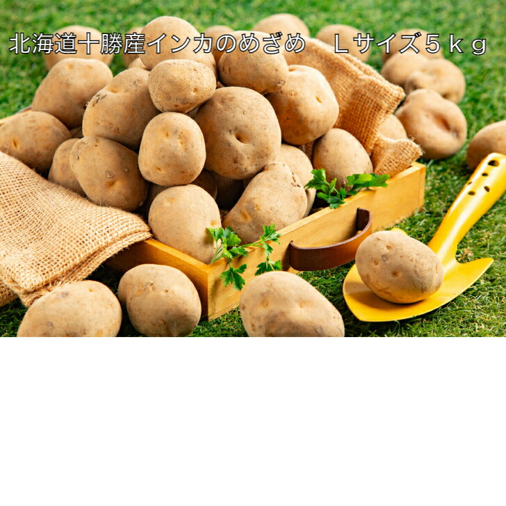 北海道十勝産インカのめざめ Lサイズ 5kg ※九州・北海道・沖縄は別途送料 栗のような甘さ じゃが ...