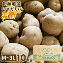 北海道産男爵芋 10kg M ~ 3Lサイズ 越冬品
