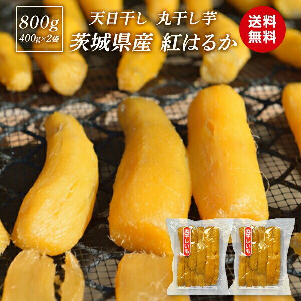  ݴ  800g  ݴ ȤϤ뤫  ̵ź  餫   븩 ŷ ٤ˤϤ뤫 ۻ Ĥް ۤ ...