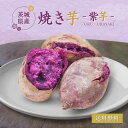 国産 紫芋 焼き芋 冷やし焼き芋 1kg 冷やし 冷凍 やきいも さつまいも 紫いも むらさきいも 紫 芋 ふくむらさき 無添加 焼きいも 美味しい 甘い スイーツ お菓子 さつま芋 お取り寄せ プレゼント 取り寄せ 茨城県産 お土産 冷凍焼き芋 冷凍焼きいも y-vl