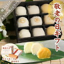 敬老の日 スイーツギフト「あきみ(秋味)大福ジェラート 9個入」送料無料 アイスクリーム ジェラート シャーベット 出産 内祝い お祝い 誕生日 お取り寄せ お取り寄せスイーツ お土産 手土産