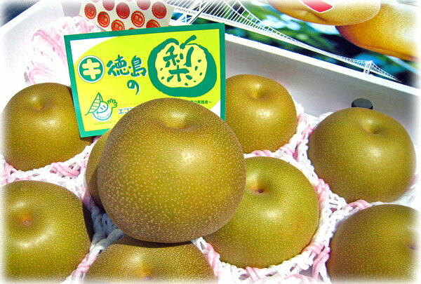 �����绺��˭��ʤۤ���������������5kg��10��14�ġ�