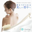 【100cb】ボディブラシ ボディーブラシ 背中ブラシ 背中 背中ニキビ ニキビ 肌に優しい ブツブツ 柔らかい シャワーブラシ お風呂 洗う やわらかい ソフ...