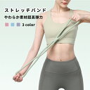 【100cb】【2点】ストレッチバンド フィットネスバンド エクササイズ チューブ 肩こり防止用 肩甲骨 背筋 柔軟TPR素材 超高弾性 滑り止め 水洗い可能 ...
