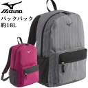 ~Ym X|[cobO obNpbN C3JCP804 MIZUNO 18L KAւ̈ړɕ֗ bN