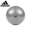 アディダス ジムボール 55cm バランスボール フィットネス トレーニング トレーニング用品 エクササイズ 筋トレグッズ ADBL11245 adidas training