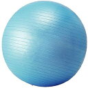 シンテックス SINTEX フィットネスボール バランス感覚 シェイプアップ トレーニング フィットネス スポーツ 運動 ボディーケア 用具 用品 器具 グッズ STT121(4)