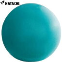 ハタチ リラクシングワーク スッキリコアボール 30cm NH3600 お腹 腹筋 バランスボール 健康 運動 スポーツ 宅トレ 筋トレ ストレッチ フィットネ...