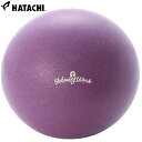 ハタチ リラクシングワーク スッキリコアボール 20cm NH3601 お腹 腹筋 バランスボール 健康 運動 スポーツ 宅トレ 筋トレ ストレッチ フィットネ...
