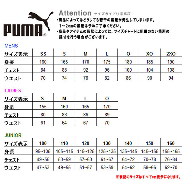 ネコポス プーマ PUMA シャツ FUSSBAL PARK SS ショートスリーブ 半袖 トップス ウエア アパレル 服 ジュニア キッズ サッカー 657799通販セール サッカー 用品 セール