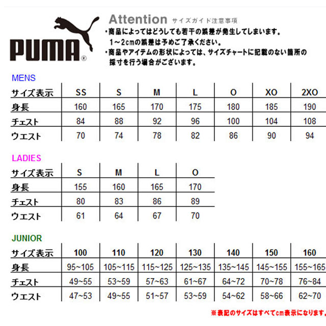 プーマ PUMA ロングシャツ INDIVIDUALFINAL WC 1/4 ロングスリーブ 長袖 ロンT トップス ウエア アパレル 服 ジュニア キッズ サッカー 658273セール　サッカー　用品　セール