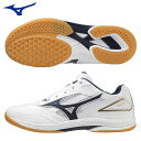 (☆)80 ミズノ 卓球 シューズ ウエーブドライブ 9 MIZUNO 81GA2205 2E相当 柔軟・素足感覚を高める新ソールを搭載 スポーツシューズ