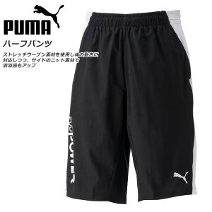 Ⱦ ͥݥ ס ϡեѥ ȥ졼˥ 硼ȥѥ PUMA 654087 ѥ 㡼 б