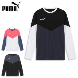 ネコポス プーマ スポーツウエア キッズ・ジュニア INDIVIDUAL RETRO TR LSシャツ PUMA 658827 長袖シャツ トップス レトロな雰囲気 サッカー フットサル マルチスポーツ アウトドア ジム トレーニングウエア