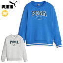 プーマ スポーツウエア キッズ・ジュニア SQUAD クルースウェット FL PUMA 678520 長袖シャツ トップス トレーナー クラシックなカレッジスタイル マルチスポーツ カジュアル 普段使い アウトドア トレーニングウエア