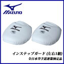 MIZUNO (ミズノ) 空手 23JHA65201 インス...