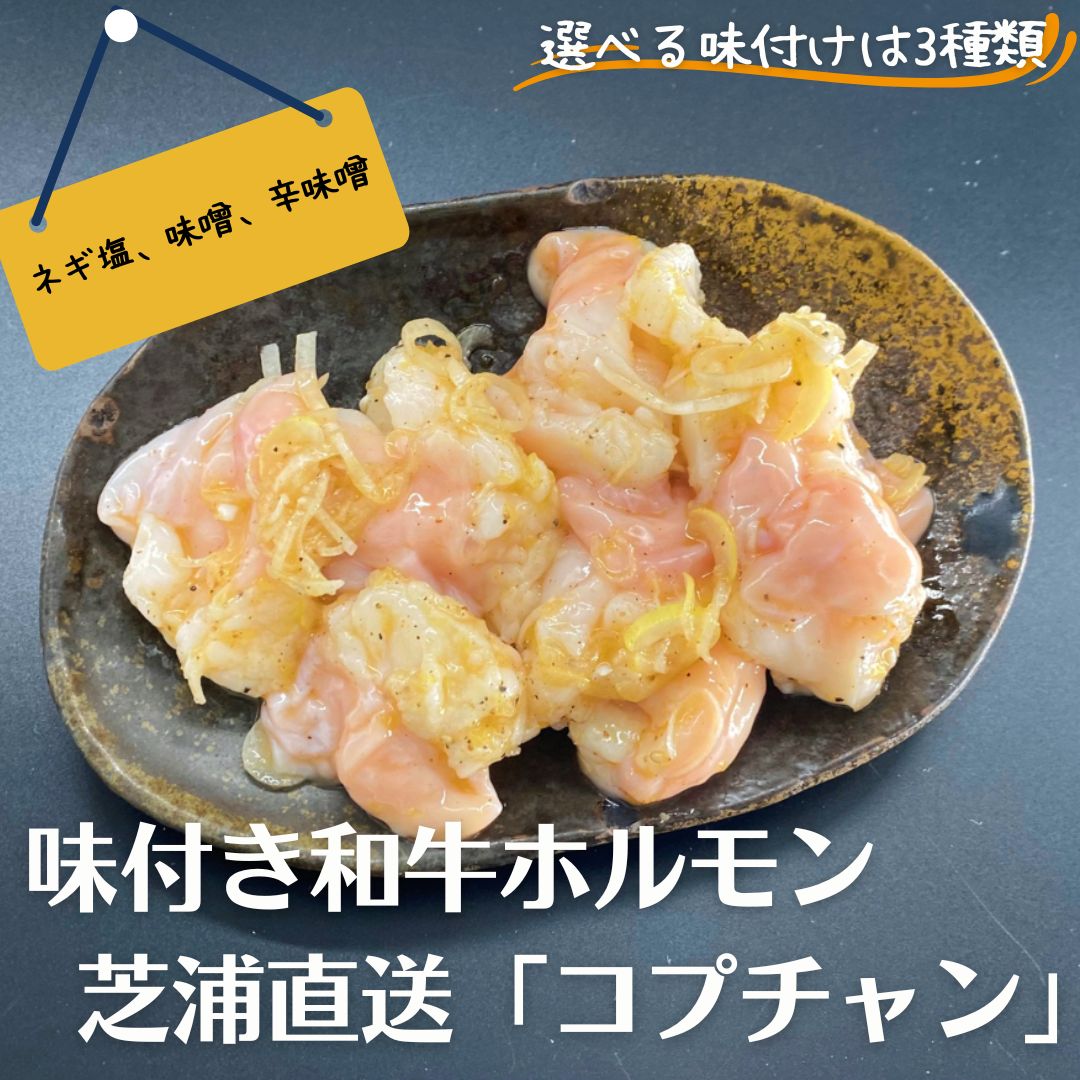 【選べる味付き】和牛 大トロ ホルモン コプチャン 130g（小腸）