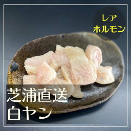 ＜選べるサイズ＞芝浦直送 和牛ホルモン 白ヤン 約100～180g