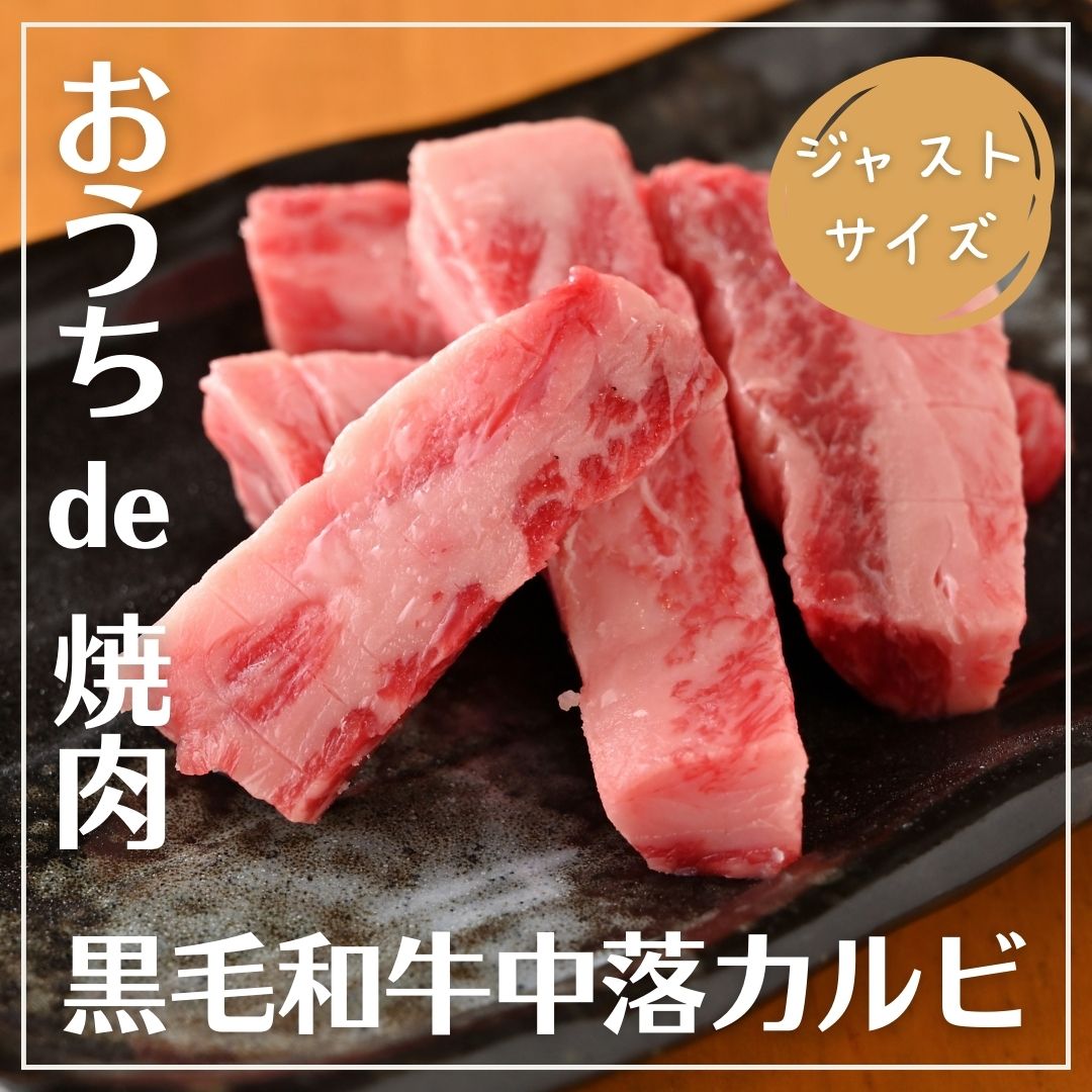 【ジャストサイズ】A5 黒毛和牛 中落カルビ 約80g