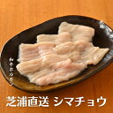 ＜選べるサイズ＞【芝浦直送】 和牛ホルモン シマチョウ（テチャン） 約100～180g 大腸 脂無し 1