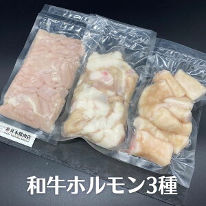 <種類別に個包装でお届け>芝浦直送国産「 和牛 」大トロ ホルモン 盛り合わせ540g(自家製味噌ダレ付き/もつ鍋 に最適な コプチャン マルチョウ ◎ もちろん焼いてもジューシー♪ 焼肉 BBQ キャンプ