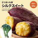 【選べる出荷日・熊本県から発送】芋屋歴60年 シルクスイート 切苗 イモヅル苗 さ