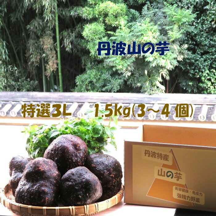 楽天市場】丹波 山の芋の通販 楽天市場】丹波 山の芋の通販