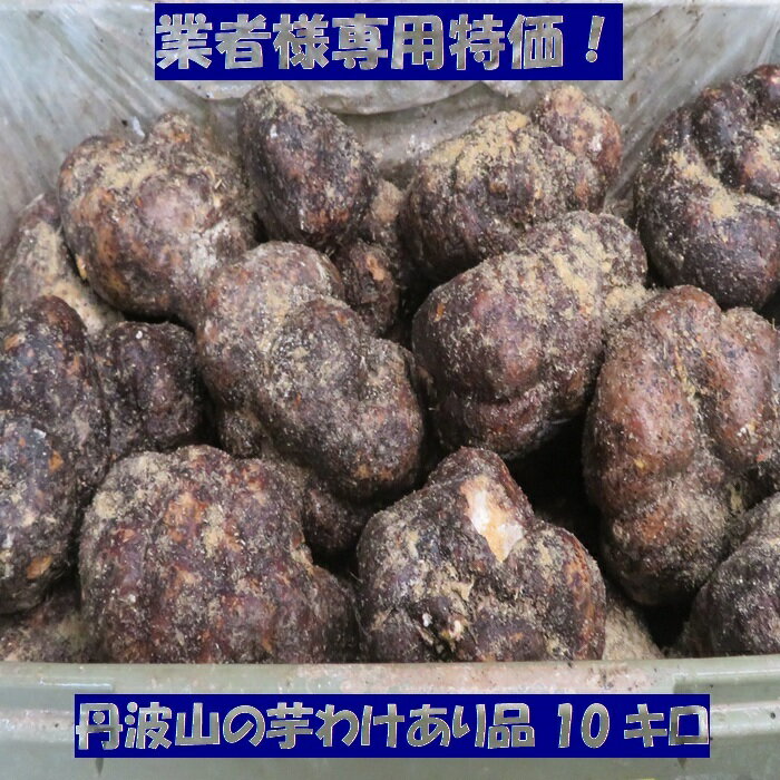 業者様専用 特価 丹波 山の芋 つくね芋 ワケあり 10キロ (25～45個) お手頃 毎日 美容 健康 胃腸に良い 夏バテ予防