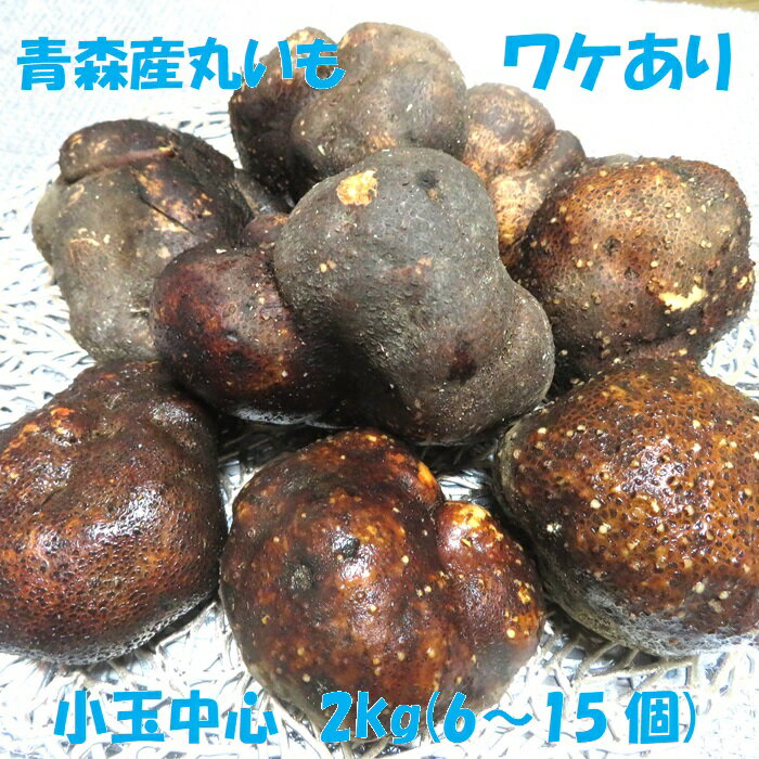 青森産 丸いも つくね芋 ワケあり 小玉 2kg 6～15個 最安値 毎日 お手頃 健康