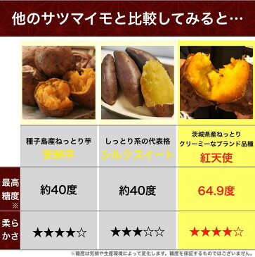 紅天使 焼き芋 冷凍 さつまいも 茨城産 送料無料【お試し500g】