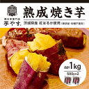 紅はるか 焼き芋 やきいも お歳暮 冷凍 さつまいも 茨城県産 送料無料 ギフト 【1kg】 (500g*2) 大人気商品の為、品切れの場合は再入荷お知らせの登録お願いします