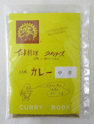 アナン インド料理 カレーブック （中辛）×2個　本格カレー インドカレー インド【※ポスト投函】