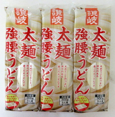 1000円ポッキリ 讃岐太麺強腰うどん （100g×3束）×3個　讃岐太麺 うどん乾麺 讃岐うどん さぬきうどん さぬき饂飩 讃岐饂飩 さぬきシセイ sanuki 【ネコポス】