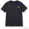 NORTH FACE ノースフェイス ショートスリーブバックスクエアーロゴティー（メンズ）S/S Back Square Logo Tee Tシャツ プリント ロゴ 正規品