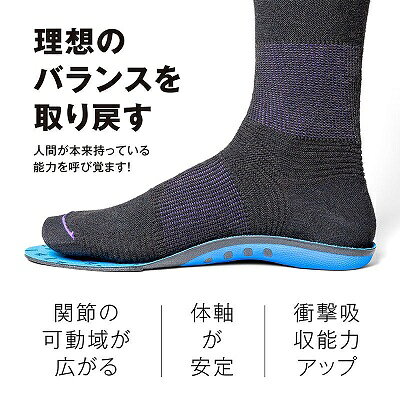 スノーボード 専門店 インパクトのDEELUXE BANE INSOLE バネインソール インソール 足裏 ブーツ 【送料無料】｜アングル2